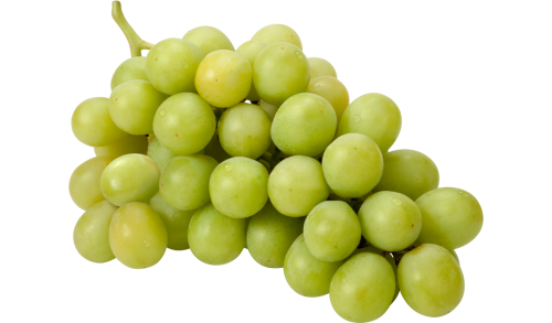 Diseño sin título (3)